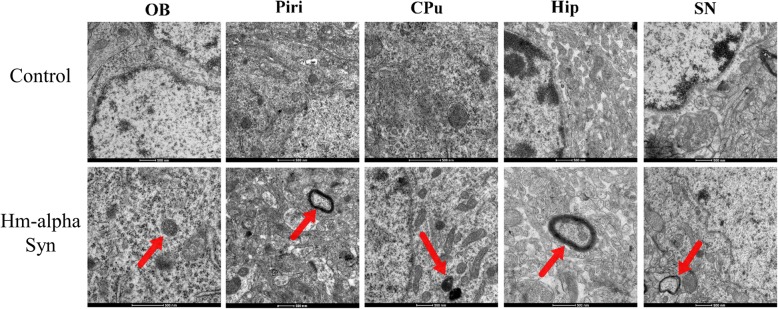 Fig. 9