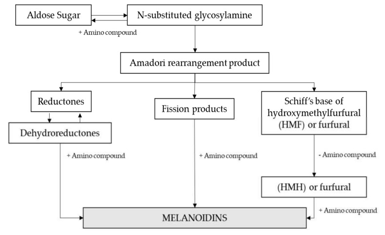 Phenols and Melanoidins as Natural Antioxidants in Beer. Structure ...