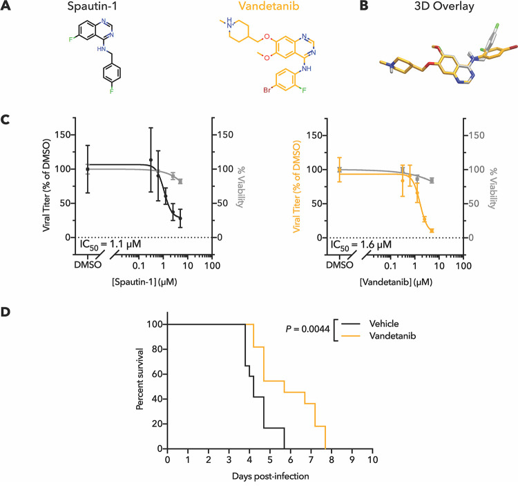 FIG 4