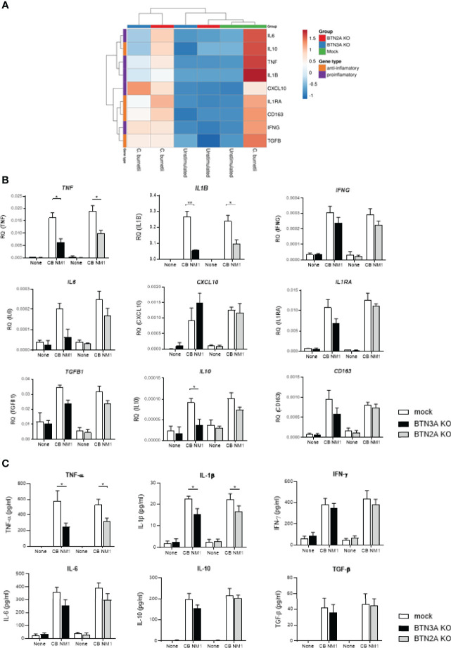 Figure 3