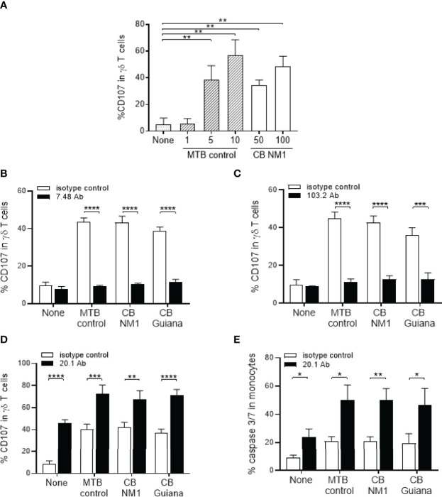 Figure 4