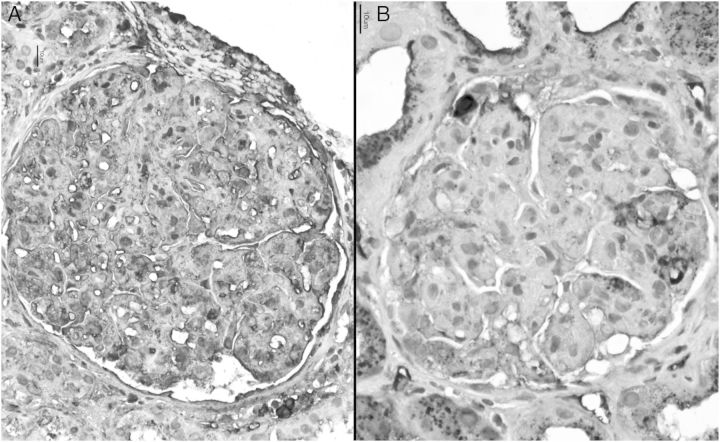 Fig. 3.