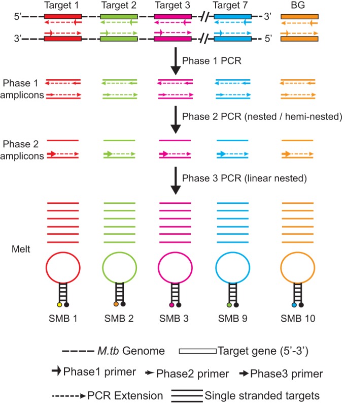 FIG 3