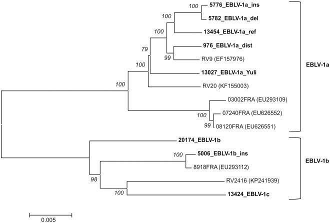 Fig 4