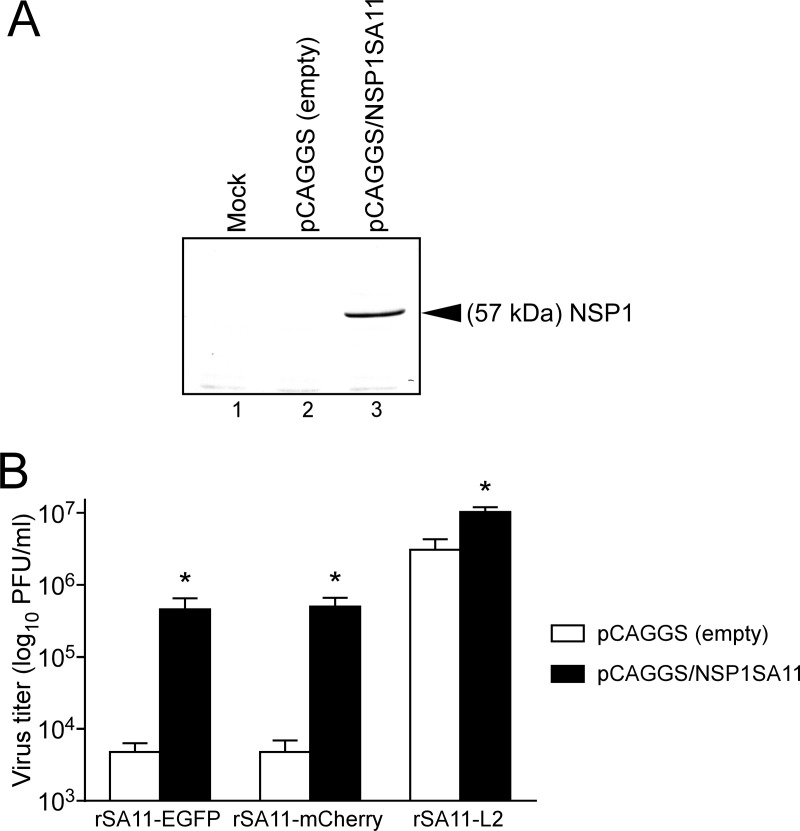 FIG 8