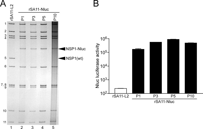 FIG 4