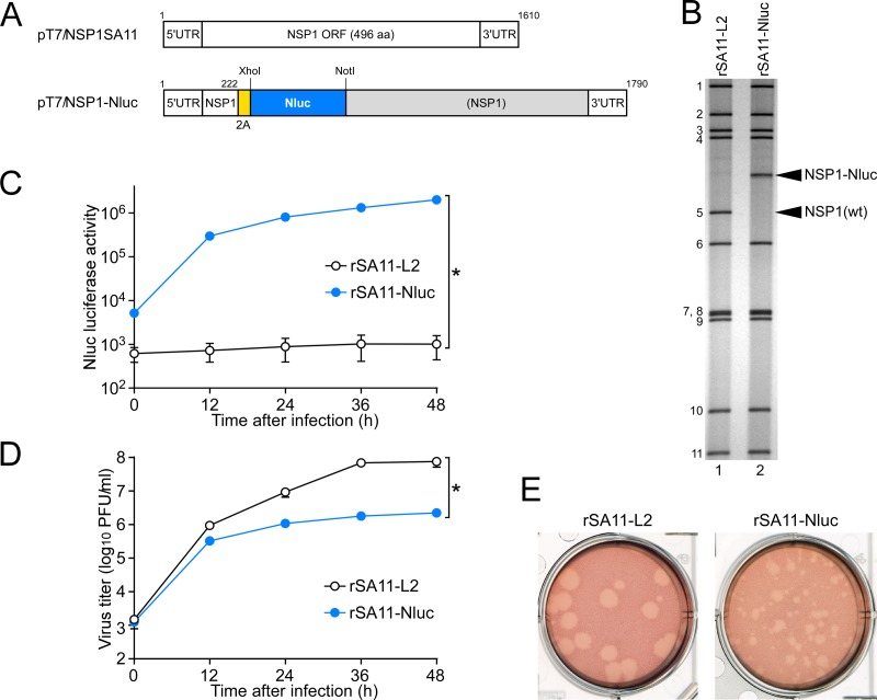 FIG 3