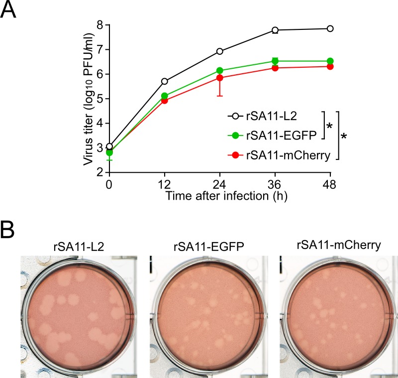 FIG 6