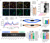 Figure 4 |