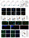 Figure 6 |