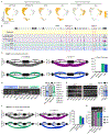 Figure 2 |