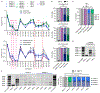 Figure 3 |