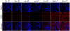 Fig.4