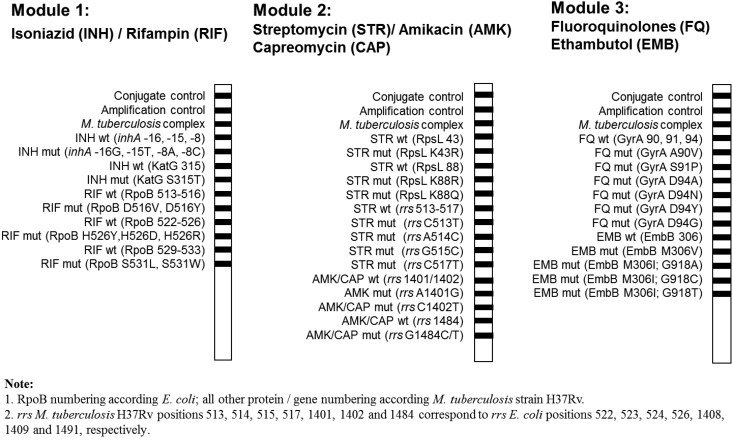 FIG 1