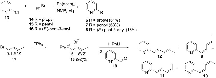 Scheme 1