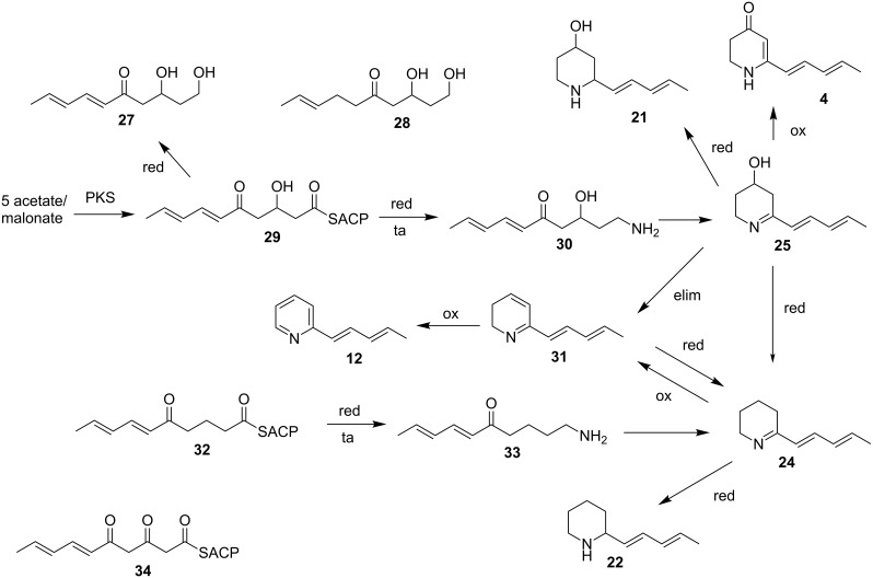 Scheme 2