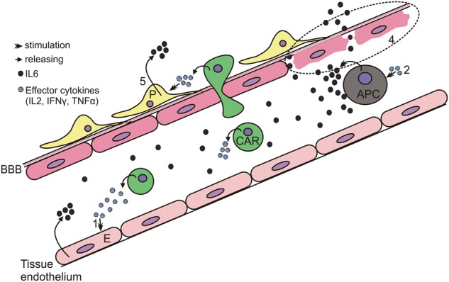 Fig. 2