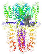 graphic file with name molecules-27-03077-i011.jpg