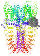 graphic file with name molecules-27-03077-i016.jpg