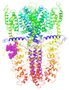 graphic file with name molecules-27-03077-i006.jpg