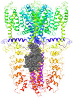 graphic file with name molecules-27-03077-i012.jpg