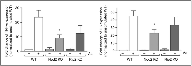 Figure 5.