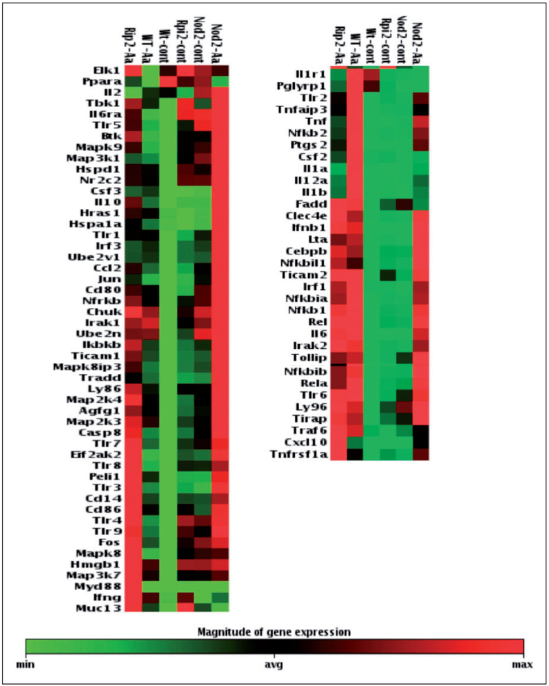 Figure 4.