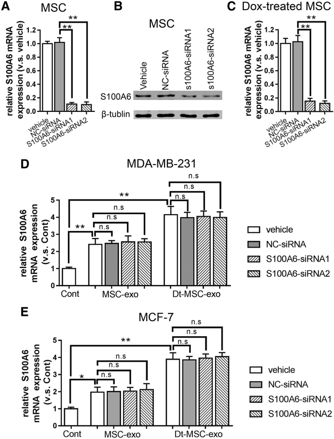 Figure 5