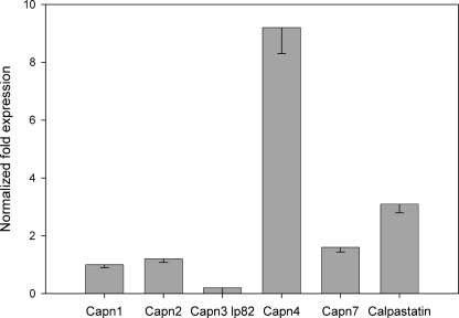 FIGURE 1.