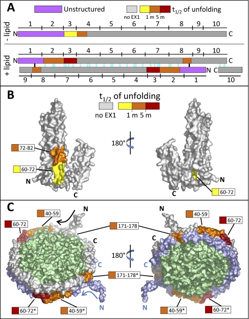 Fig. 4.