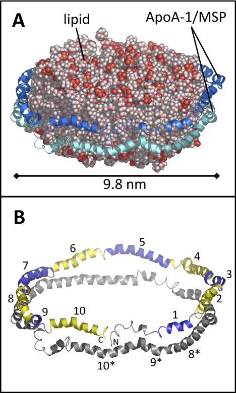 Fig. 1.