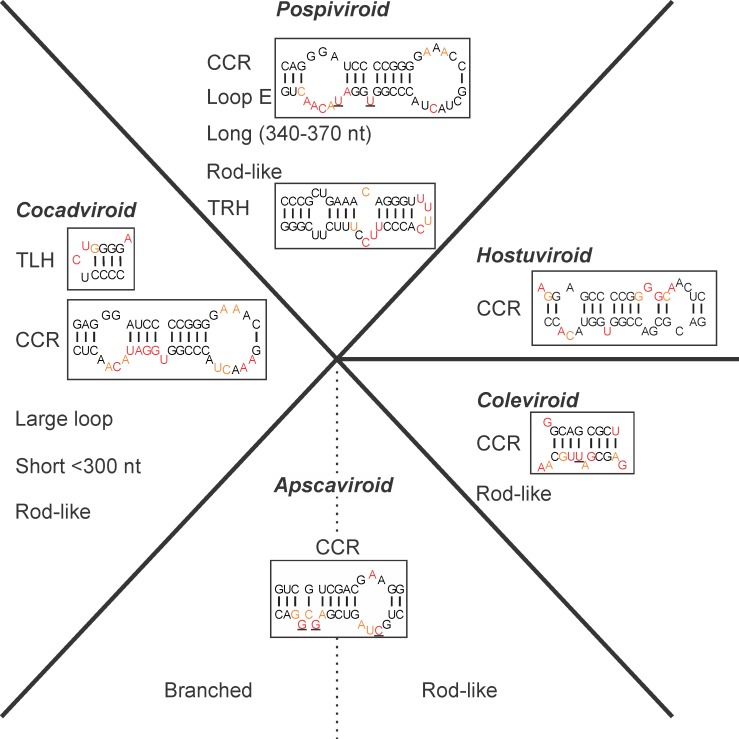 Fig 5