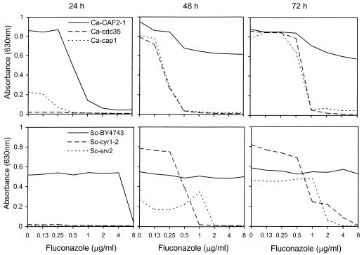 FIG. 2.