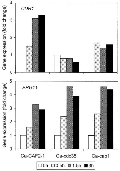 FIG. 6.