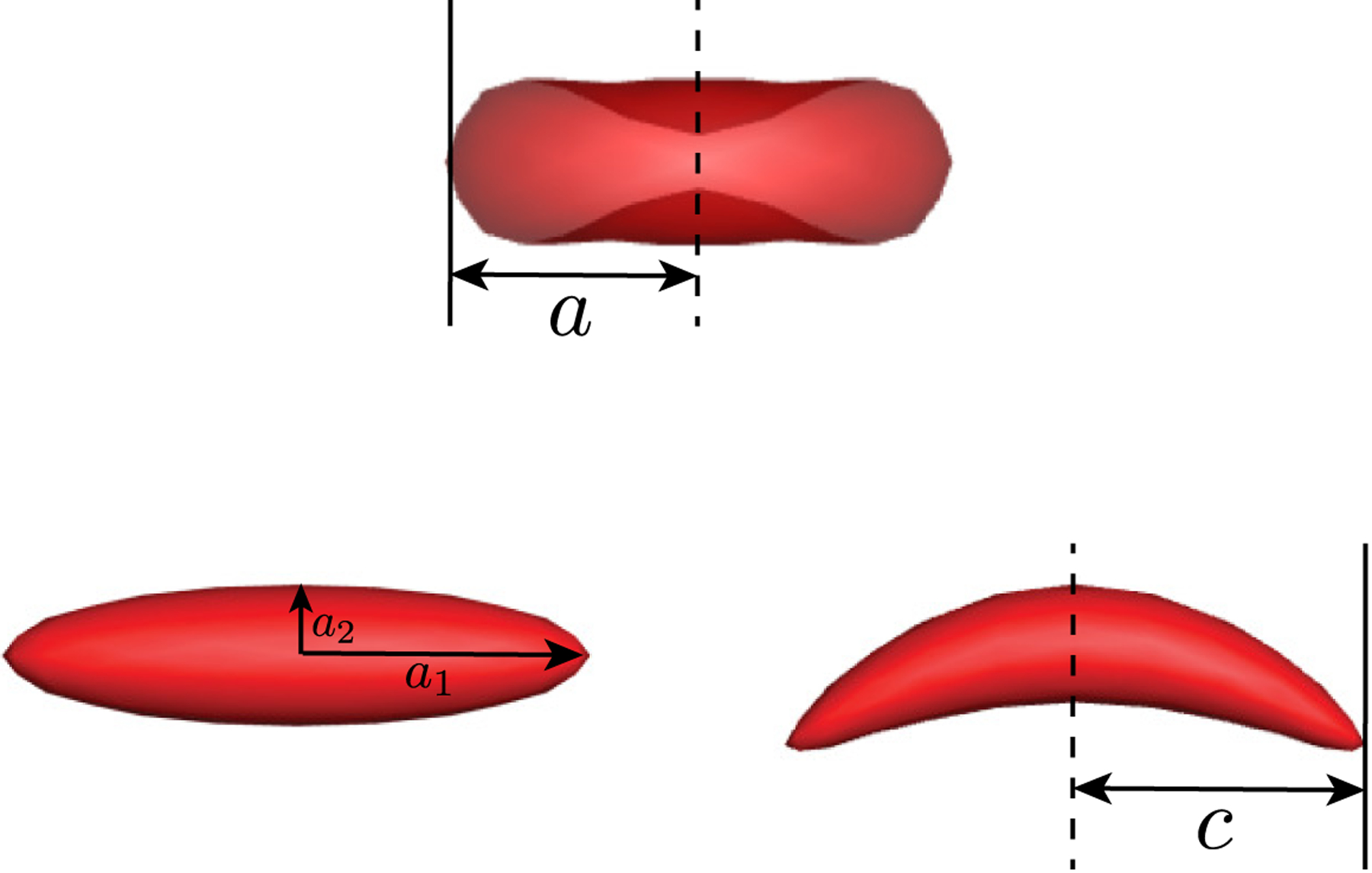 FIG. 2: