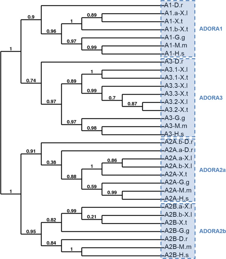 Fig. 2