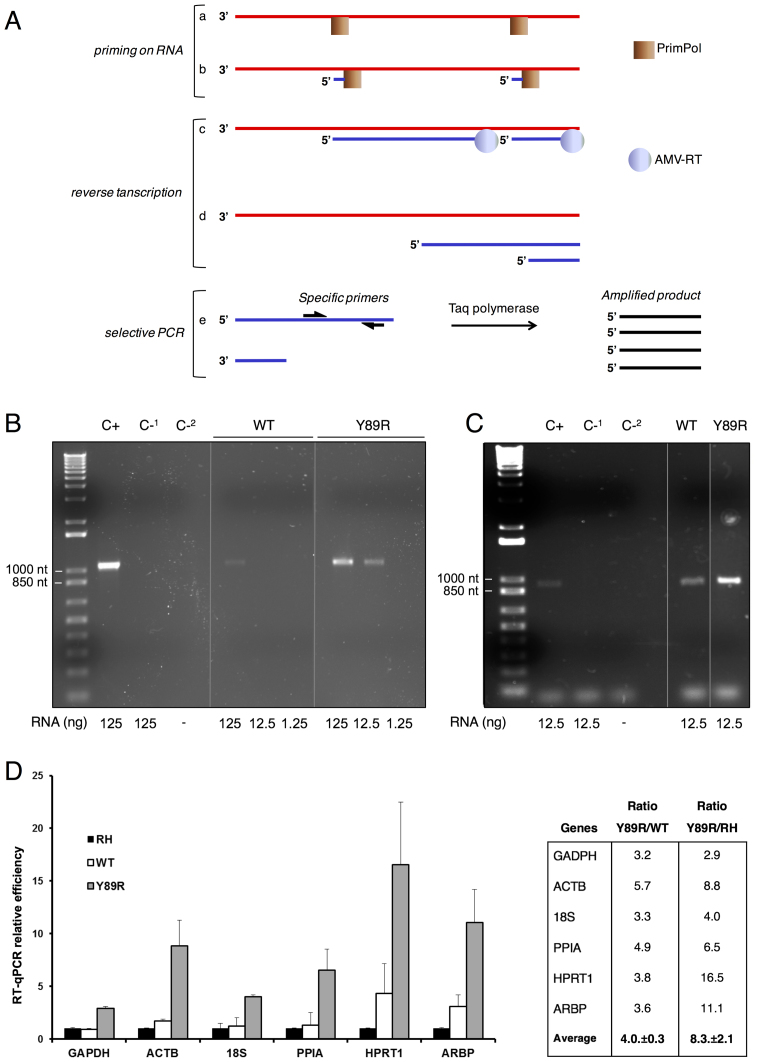 Figure 6.