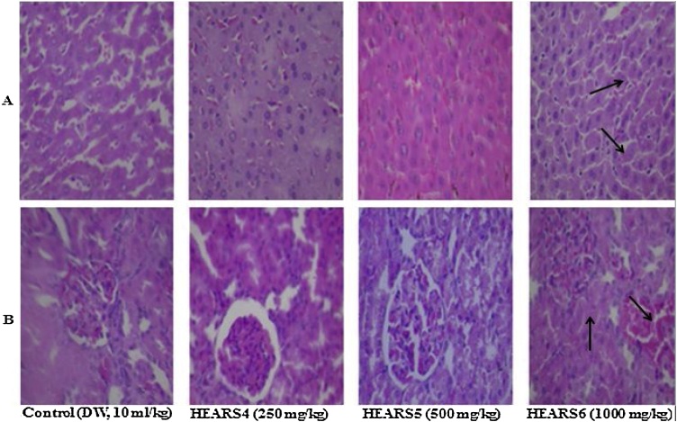 Fig. 15