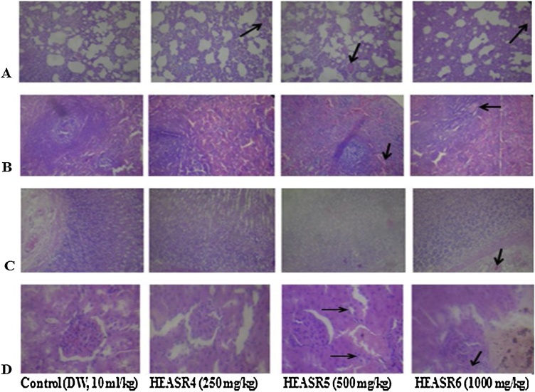 Fig. 16