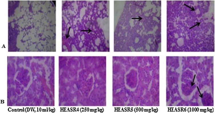 Fig. 18