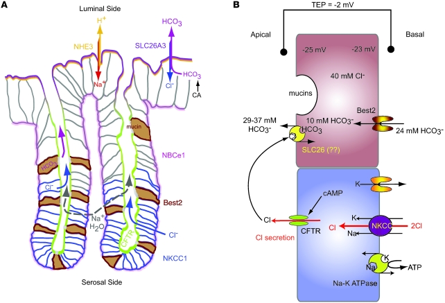 Figure 10