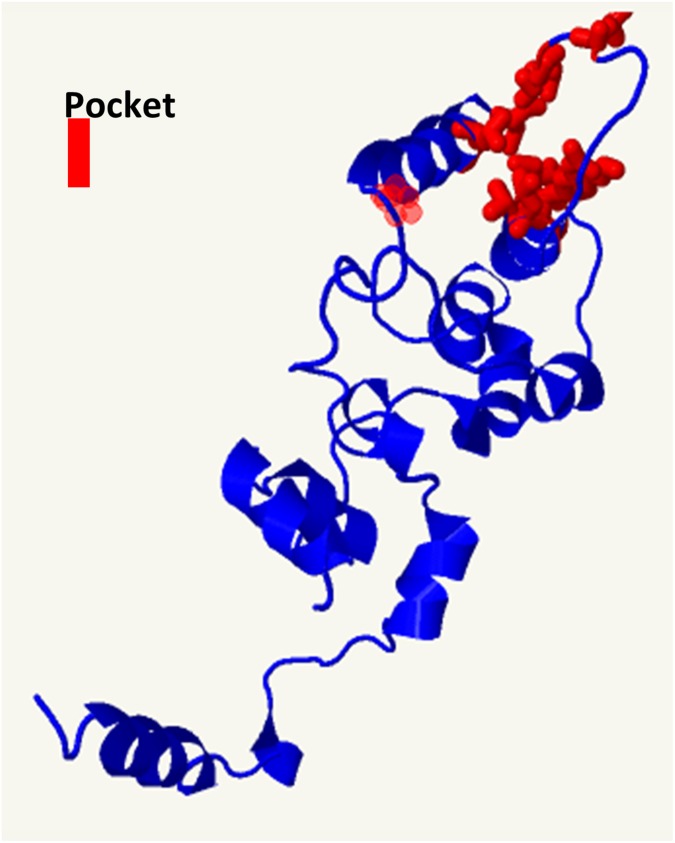 Fig. S5.