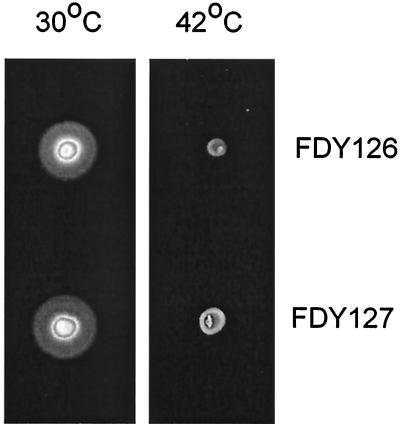 FIG. 5.