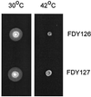 FIG. 5.