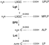 FIG. 2.