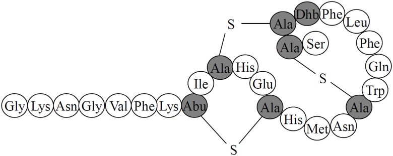 Fig 5