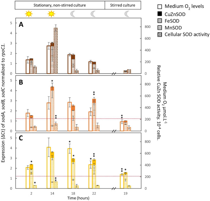 FIGURE 3