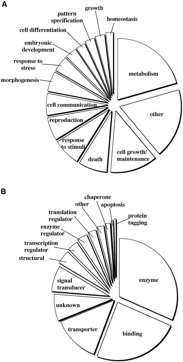 Figure 3.—