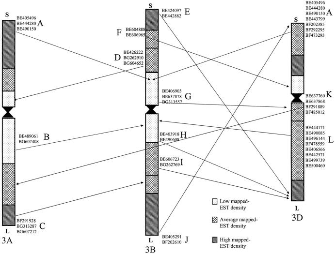 Figure 2.—