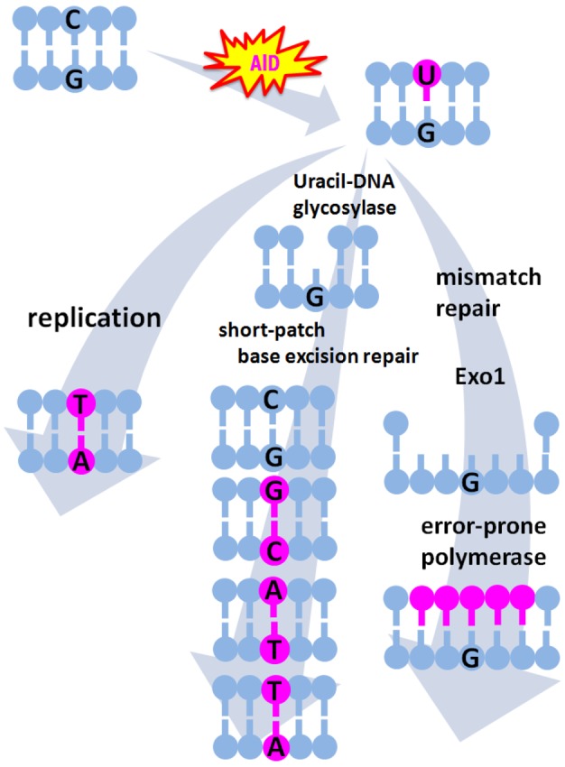 Figure 1.